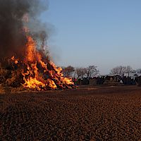 Biike 2014 - Suederende auf Foehr