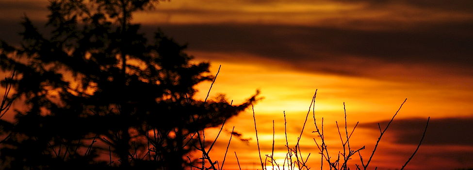 Sonnenuntergang über Süderende auf Föhr